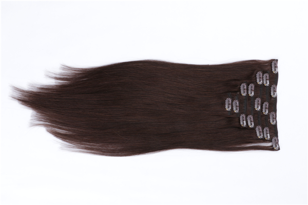 Clip in Human Hair Extensions 200g JF022